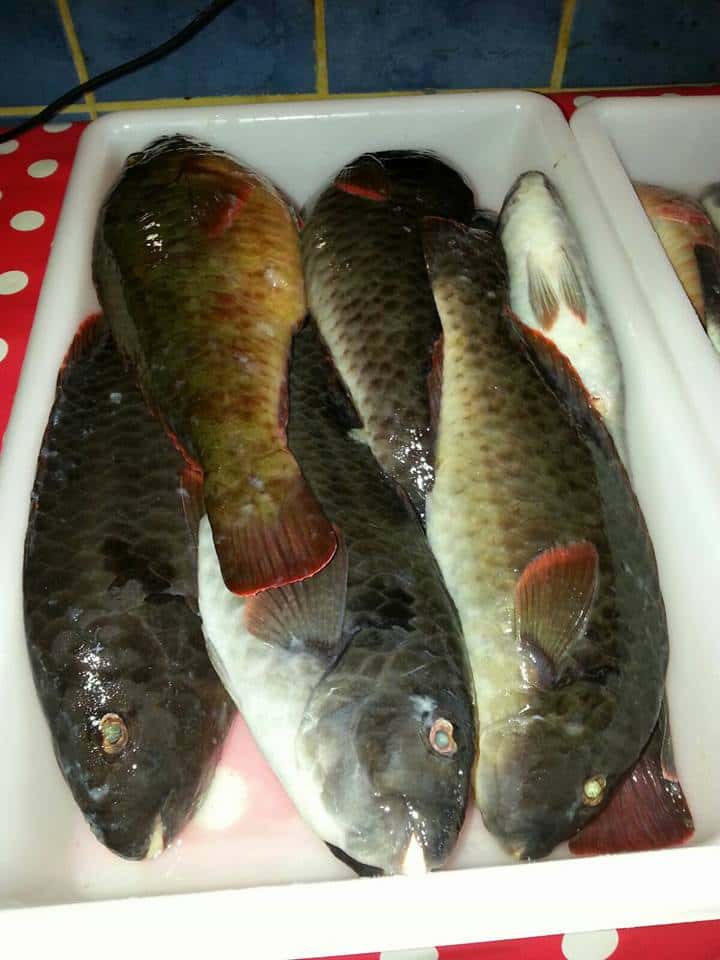 Foto 2 de 10 de Restaurante Guachinche del Pescado