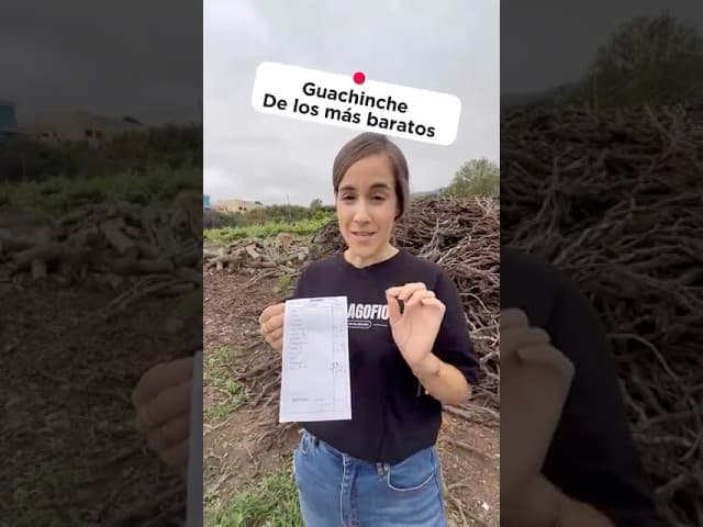 Guachinche El Timplillo es un lugar tradicional en La Orotava que ha reabierto, 