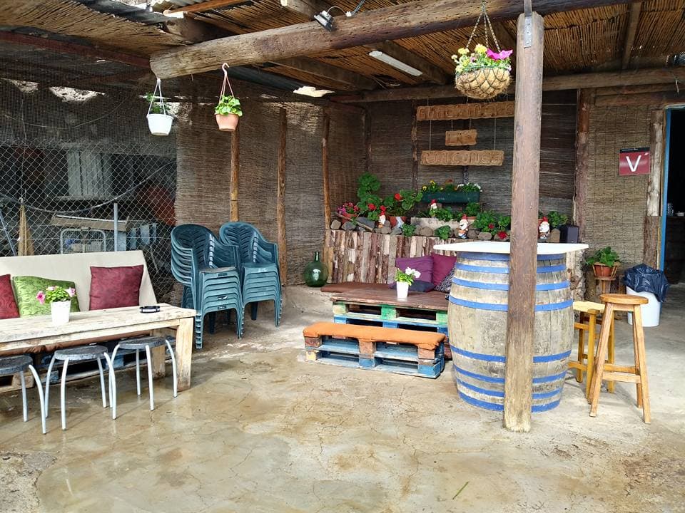 Guachinche Los Rincones — foto 4
