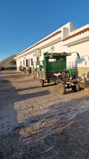 Guachinche Casa Lety — foto 1