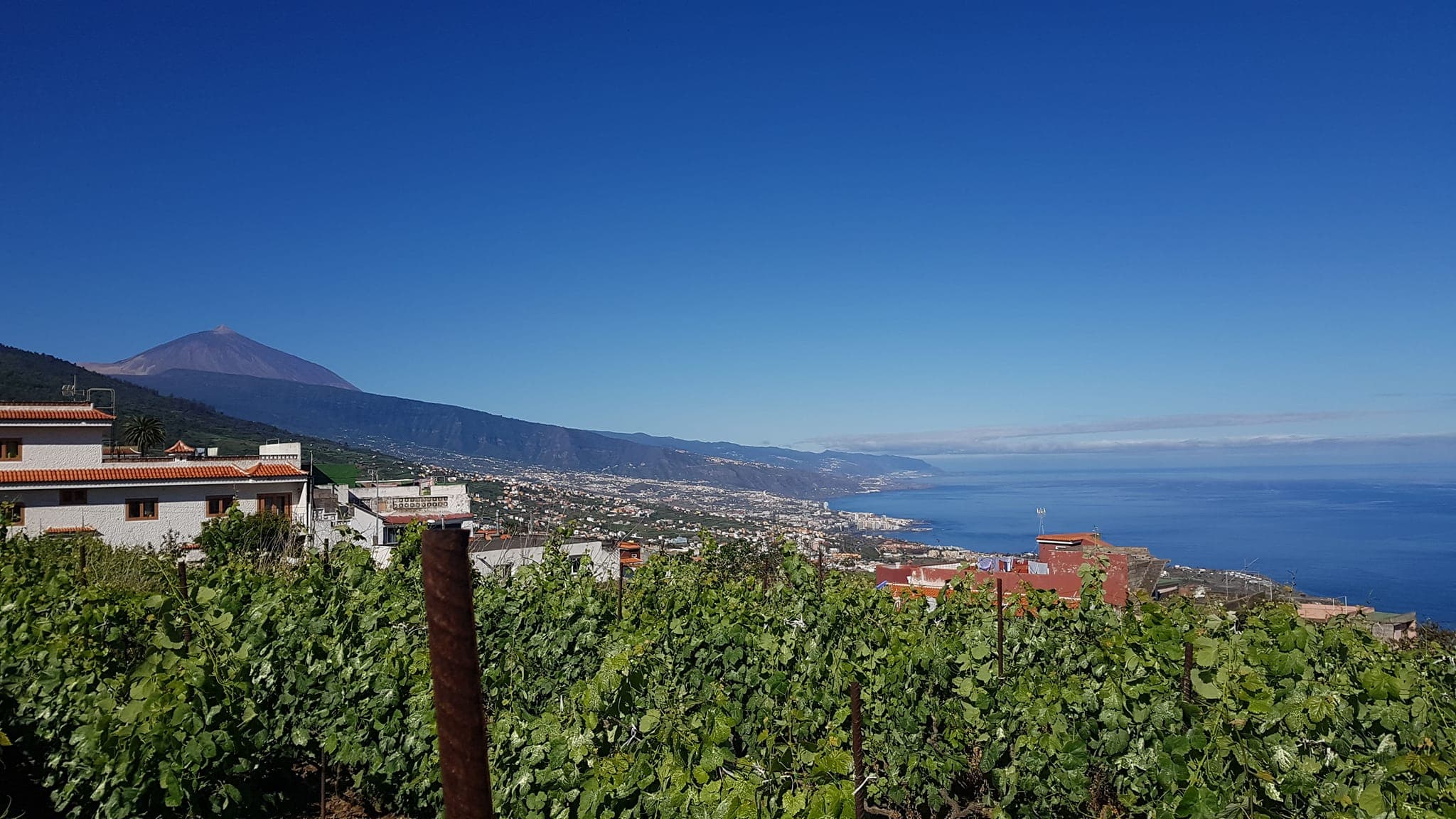 Guachinche La Cuadra (La Victoria) — foto 4