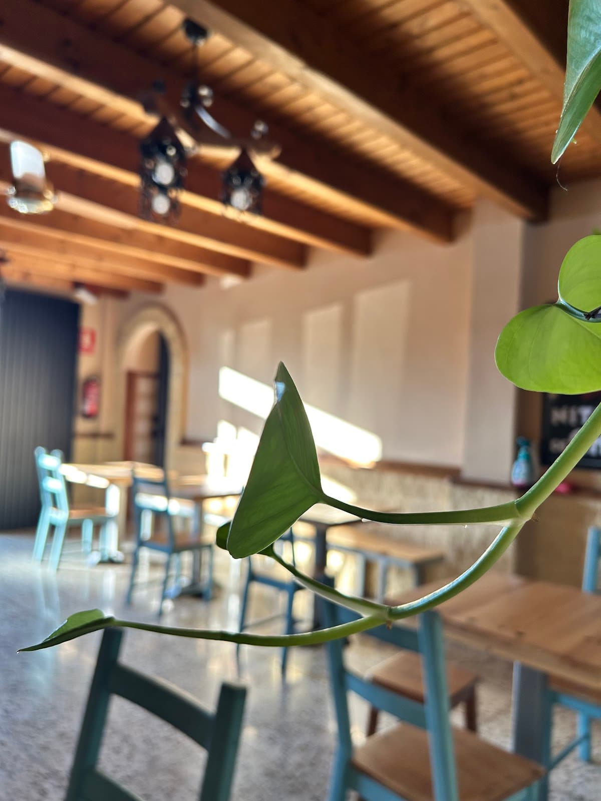 Bodegón El Esperancero — foto 1