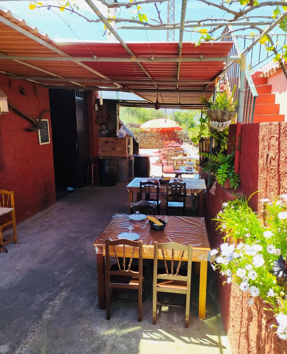 Guachinche Casa Chiqui — foto 4
