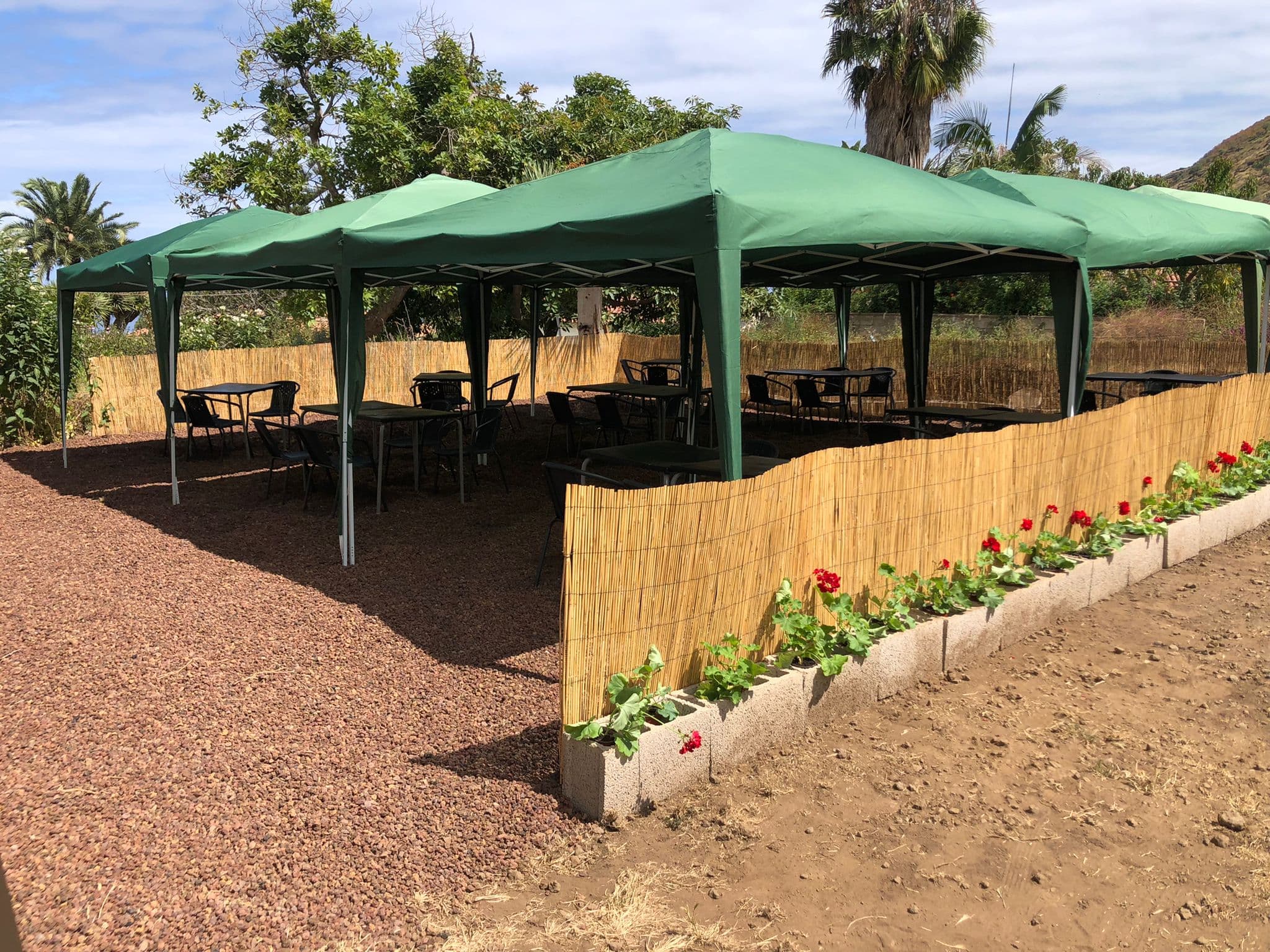 Guachinche Finca El Pino — foto 4