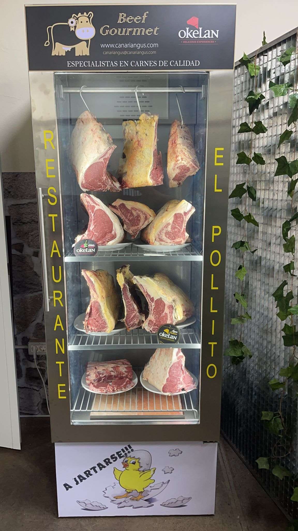Restaurante El Pollito — foto 4
