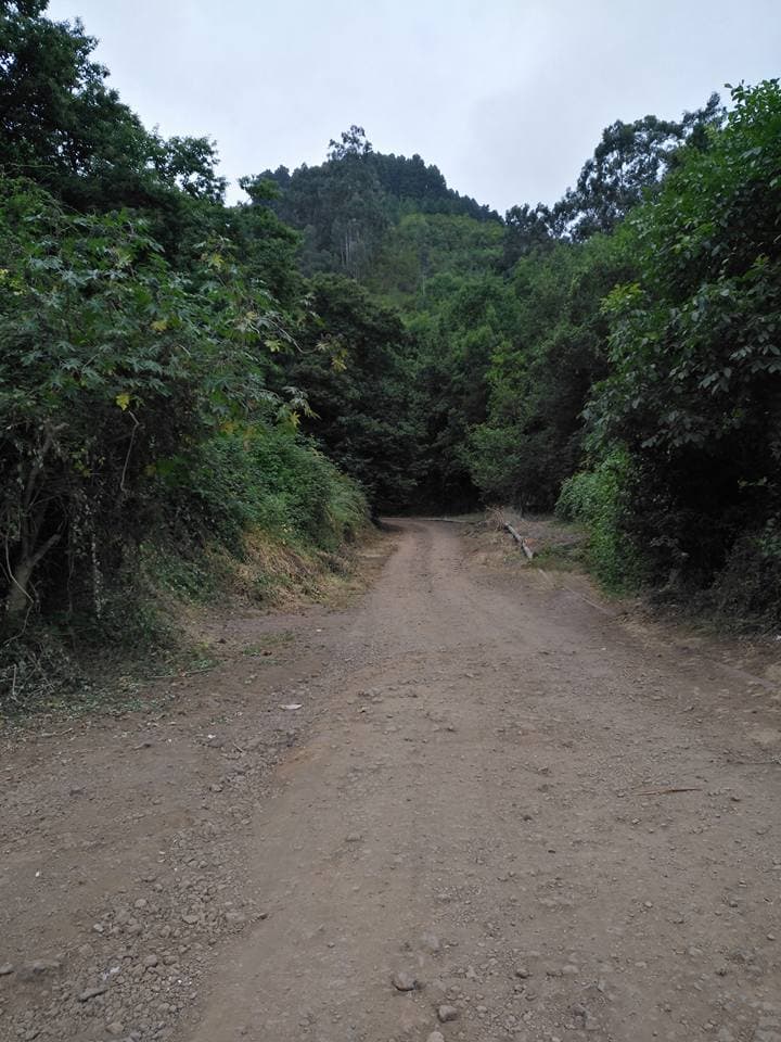 Guachinche Los Dornajos — foto 3