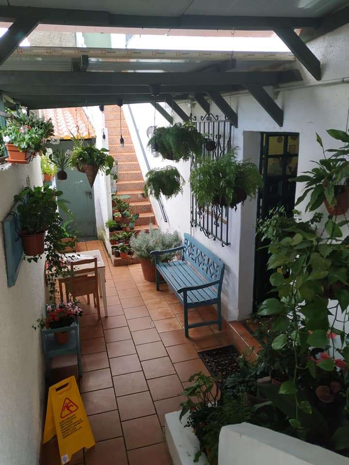 Guachinche La Aceituna — foto 5