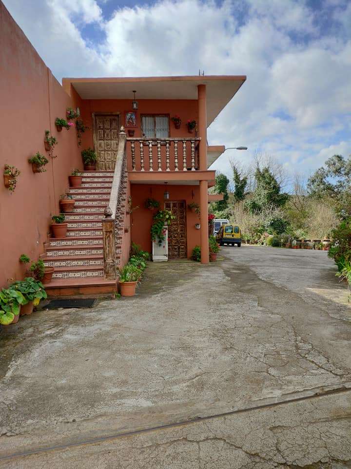 Bodegón Guachinche Suso — foto 2